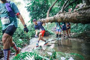 BIB: 
                            <button type="button" onclick="openModal(25460136)" class="btn btn-primary btn-sm float-right btn-popup" data-toggle="modal" data-target=".modal-high-quality">
                        <i class="fas fa-shopping-cart"></i> Add to Cart
                    </button>
                                            <button type="button" onclick="isThisMe(25460136, true)" class="btn btn-success btn-sm float-right btn-popup btn-isme hidden" data-toggle="tooltip" data-placement="bottom" title="นี่คือรูปของคุณใช่ไหม คลิกที่นี่เพื่อเอาเข้าอัลบั้ม">
                        <i class="fas fa-plus"></i> Add to album
                    </button>
                    <button type="button" onclick="isThisMe(25460136, false)" class="btn btn-warning btn-sm float-right btn-popup btn-isnotme hidden">
                        <i class="fas fa-ban"></i> Remove from album
                    </button>